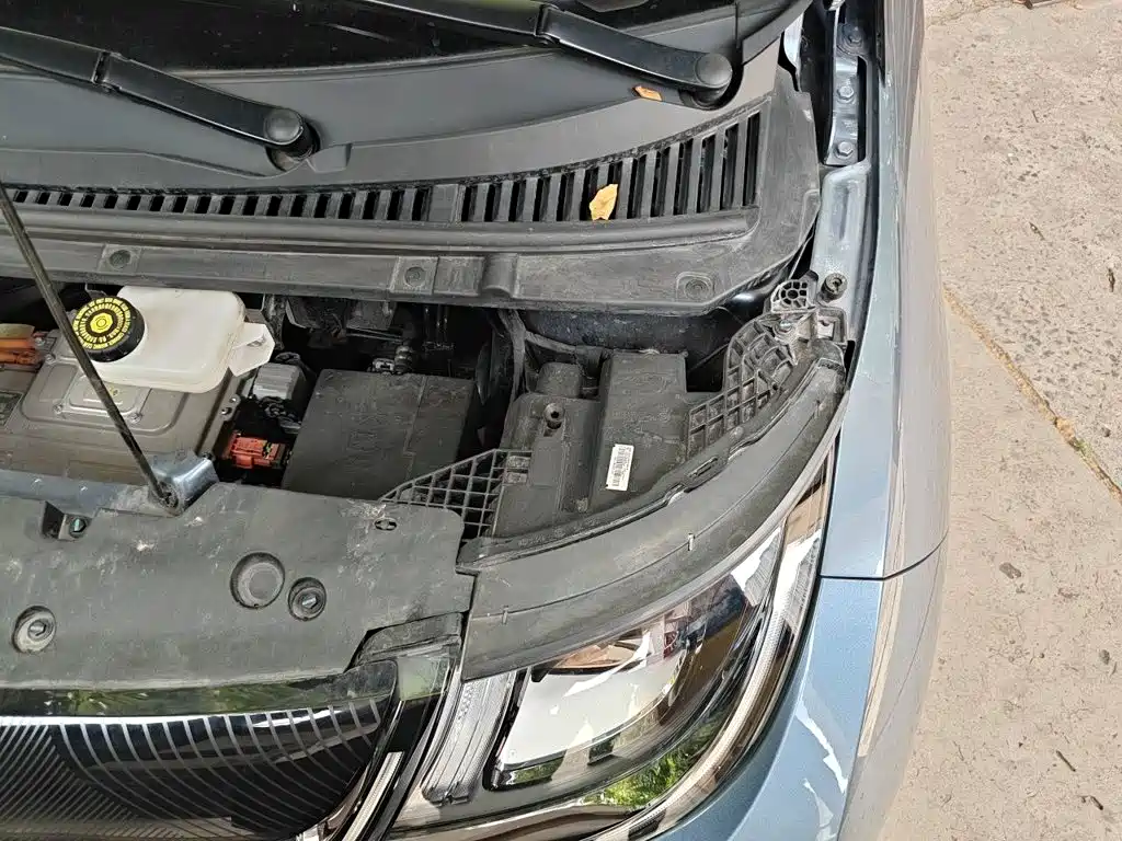 BYD Dolphin 2026 2025 420km Freedom Edition