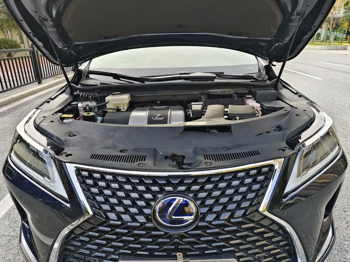 LEXUS RX