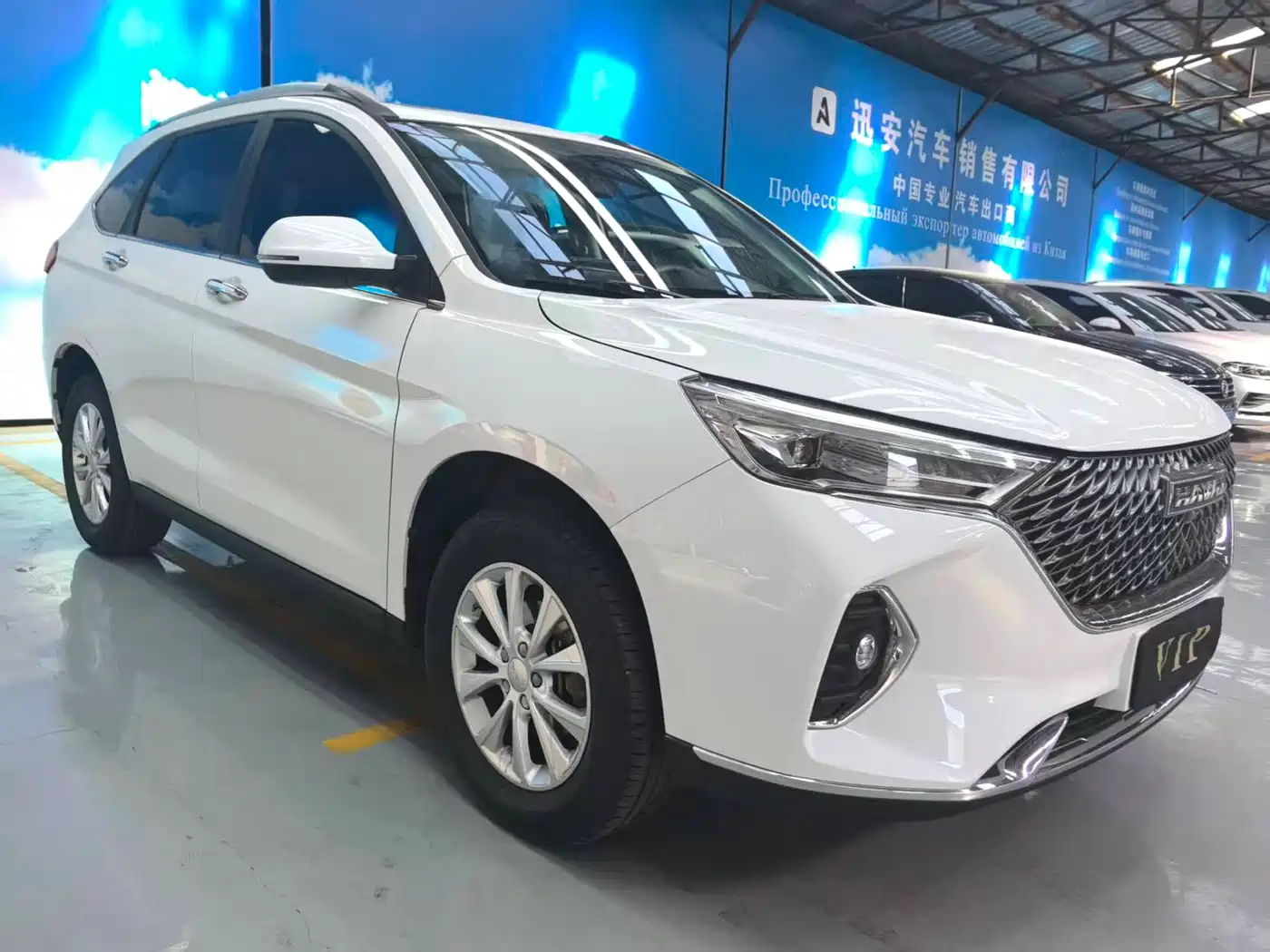 HAVAL M6