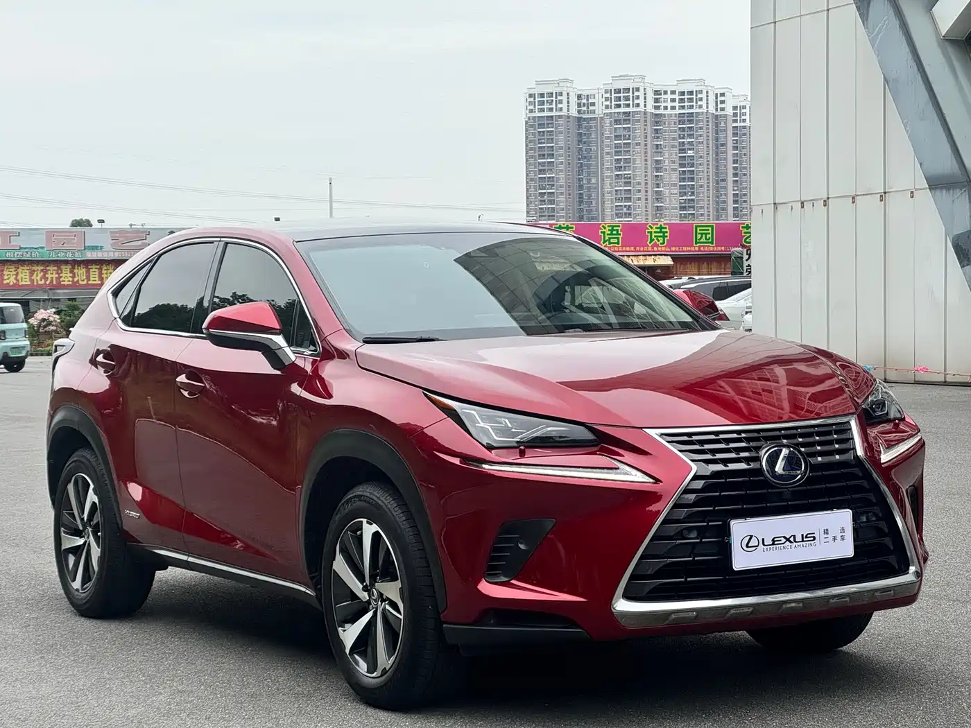 Lexus NX 2017 300h AWD Sharp Edition фото 3