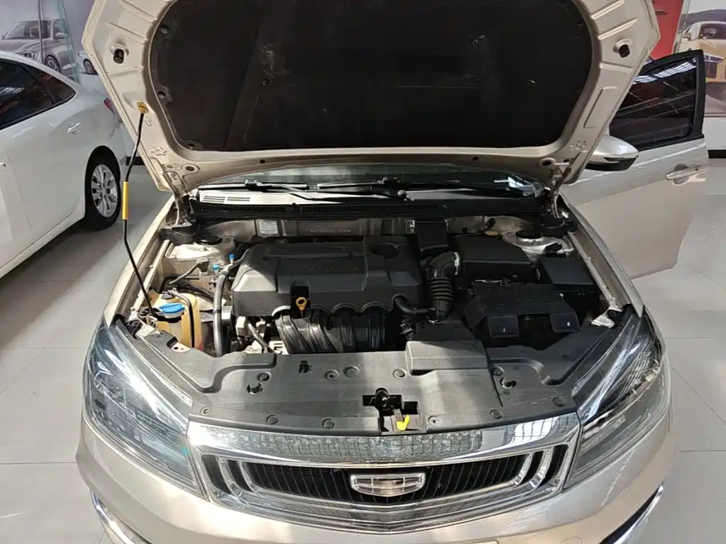 Фото 20 - Geely Emgrand