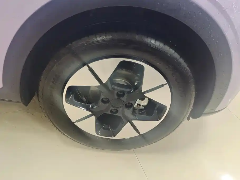 Geely Galaxy Starry Wish 2025 2025 UP 410km Explorer Edition
