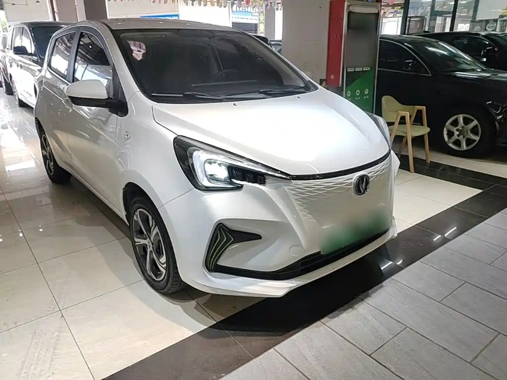Changan Benben E-Star 2022 2020 Heartbeat Edition (NMC Battery)