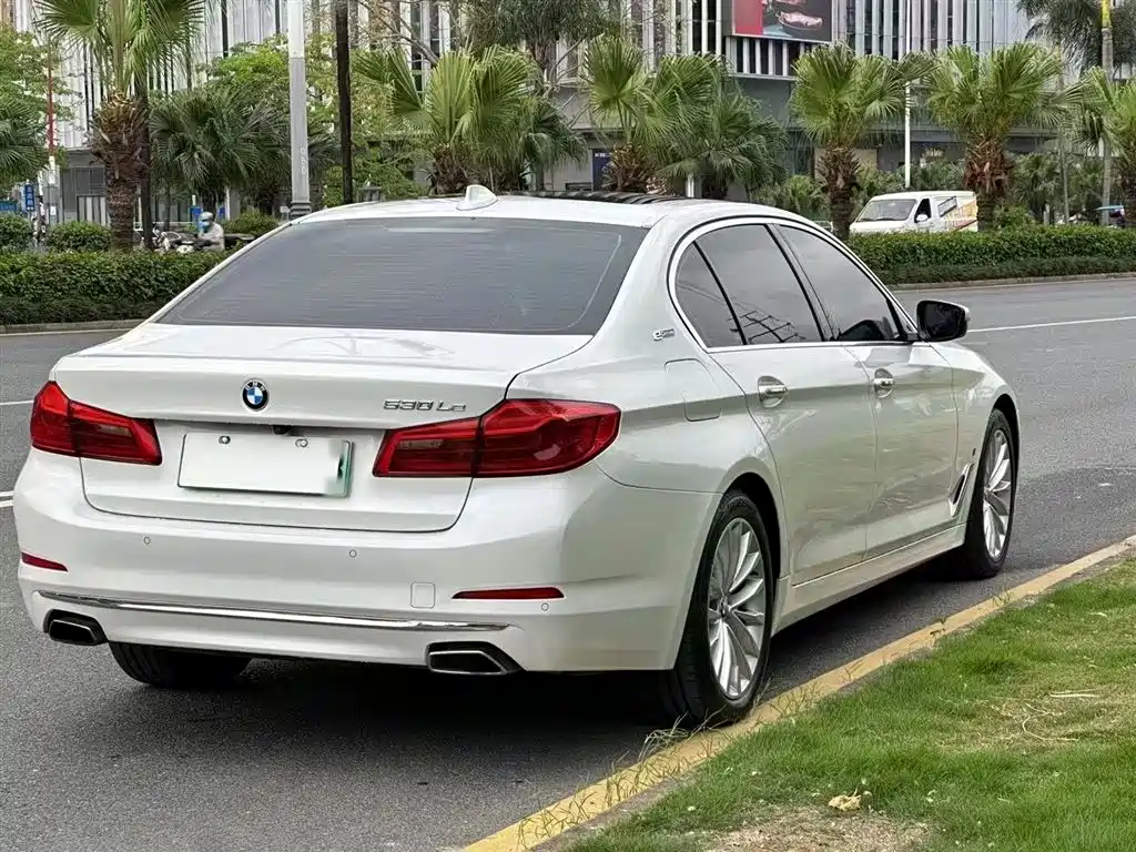 BMW 5 Series New Energy 2019 530Le Luxury Package фото 15