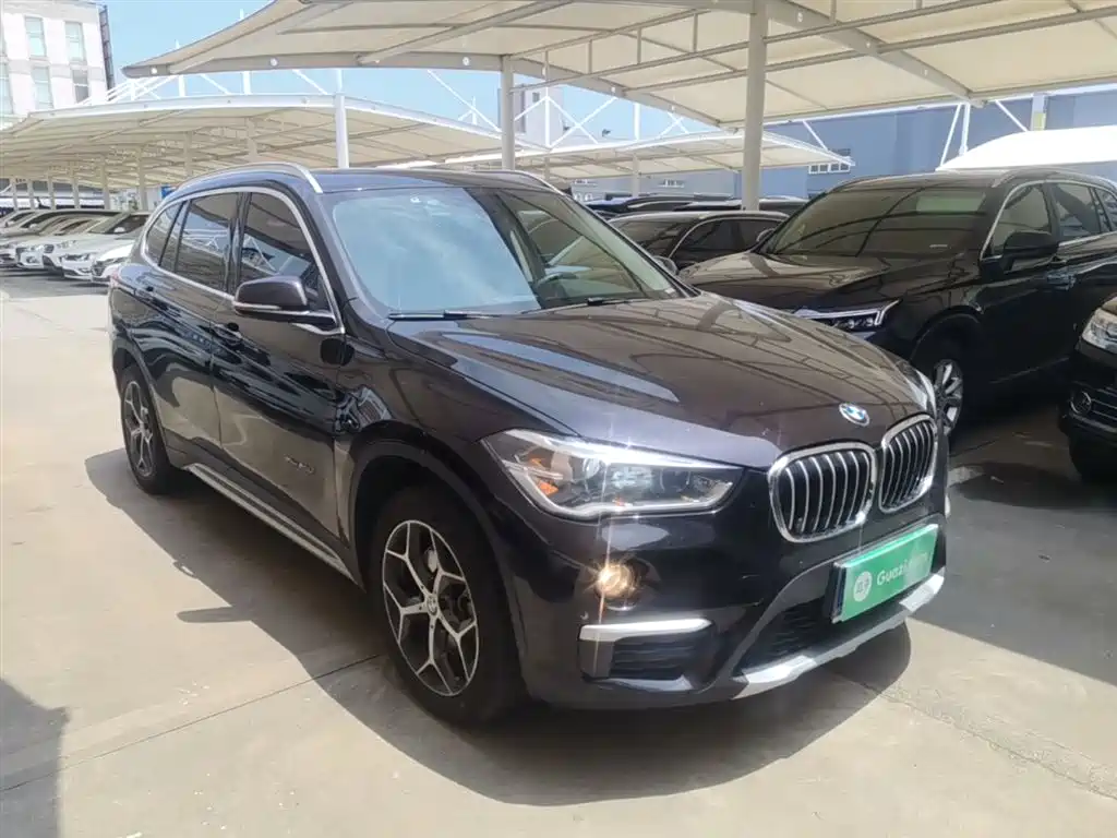 BMW X1 2018 xDrive20Li Premium Model фото 4