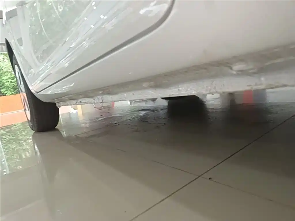 Changan Qiyuan Changan Lumin 2026 2026 Model Treasure Edition 205km Sweet Rice Guoxuan
