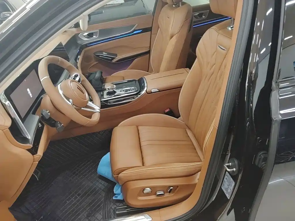 Hongqi H9 2025 2024 2.0T Qi Enjoy Private Fashion Edition