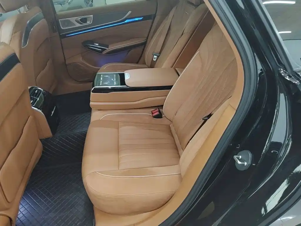 Hongqi H9 2025 2024 2.0T Qi Enjoy Private Fashion Edition