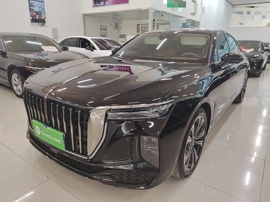 Hongqi H9 2025 2024 2.0T Qi Enjoy Private Fashion Edition