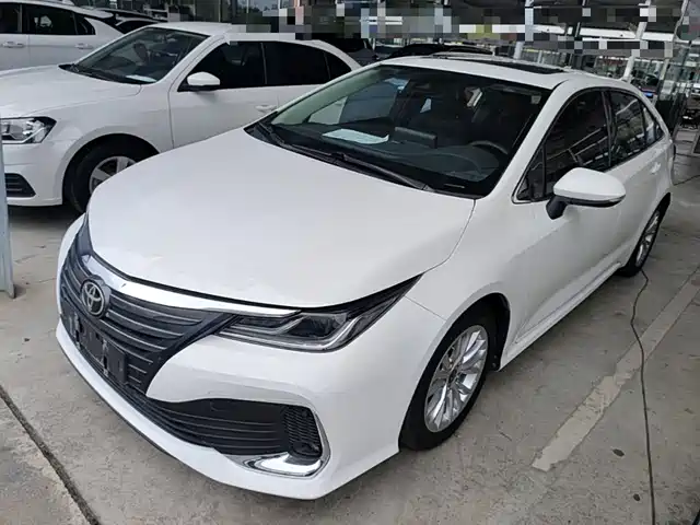 Фотография TOYOTA ASIAN LION