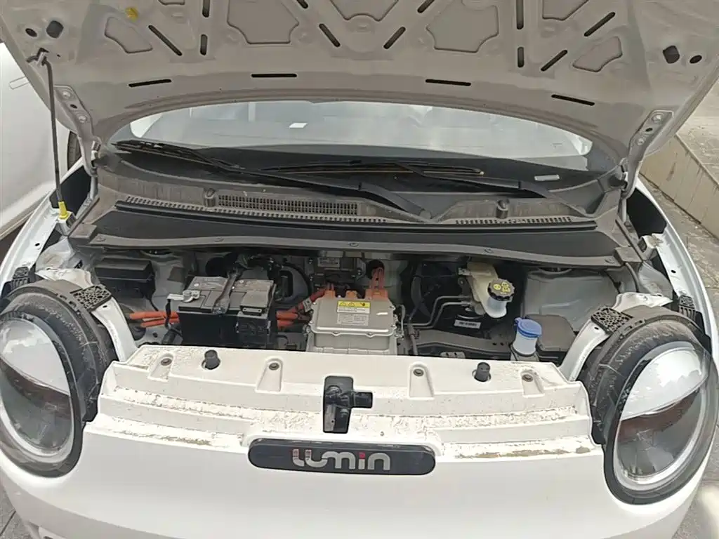 Changan Qiyuan Changan Lumin 2026 2026 Model Treasure Edition 205km Sweet Rice Guoxuan