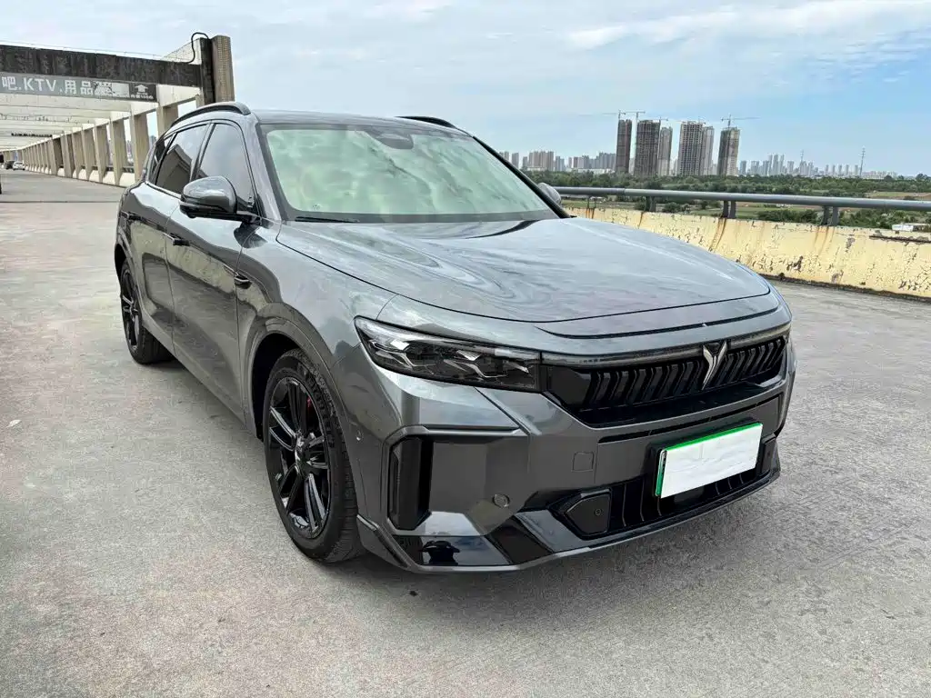 Voyah Free 2026 2025 318 318km RWD Touring Edition