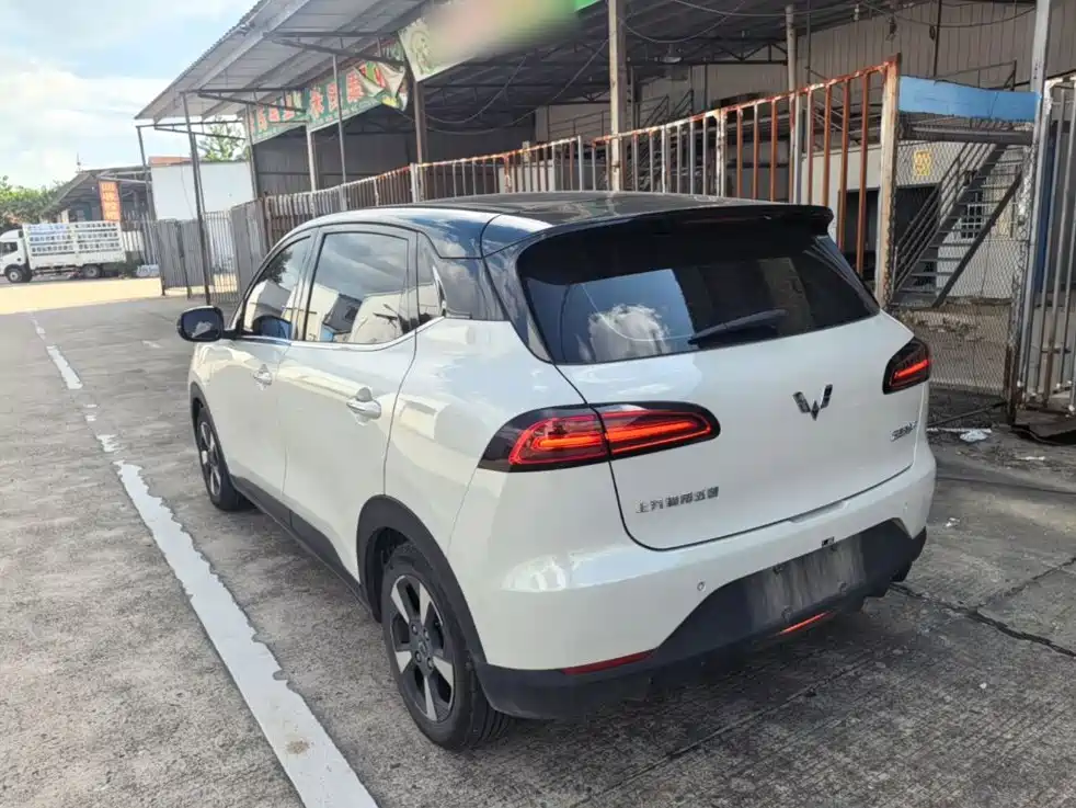 Wuling Motors Wuling Binguo PLUS 2024 2024 Model 330km 5-Seater