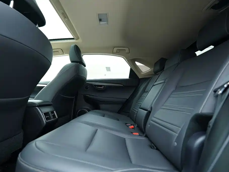 Lexus NX 2018 Model 300 AWD Fengshang Edition фото 21