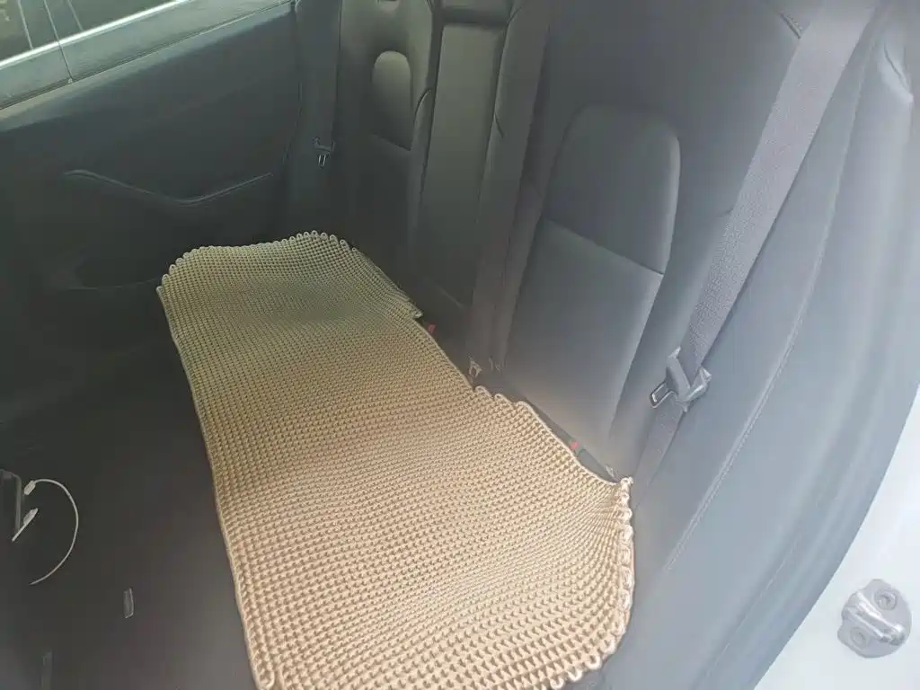 Tesla Model 3 2020 2019 Standard Range Rear-Wheel Drive Upgrade