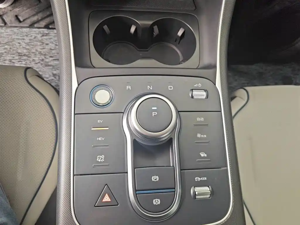 BYD Destroyer 05 2024 Glory Edition DM-i 55KM Luxury фото 14
