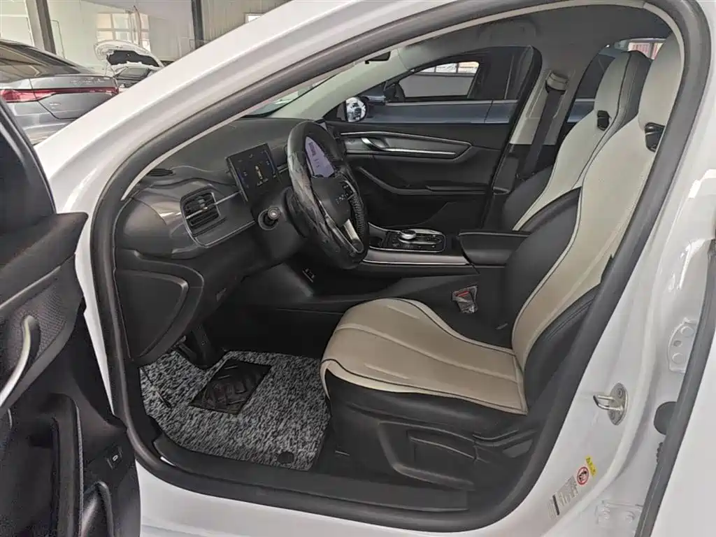 BYD Destroyer 05 2024 Glory Edition DM-i 55KM Luxury фото 16