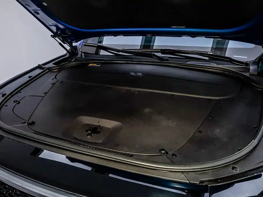 Фото 33 - Li Auto Li ONE