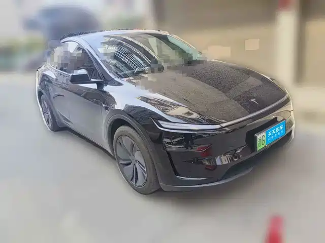 Tesla Model Y 2025 Rear-Wheel Drive — фото 3