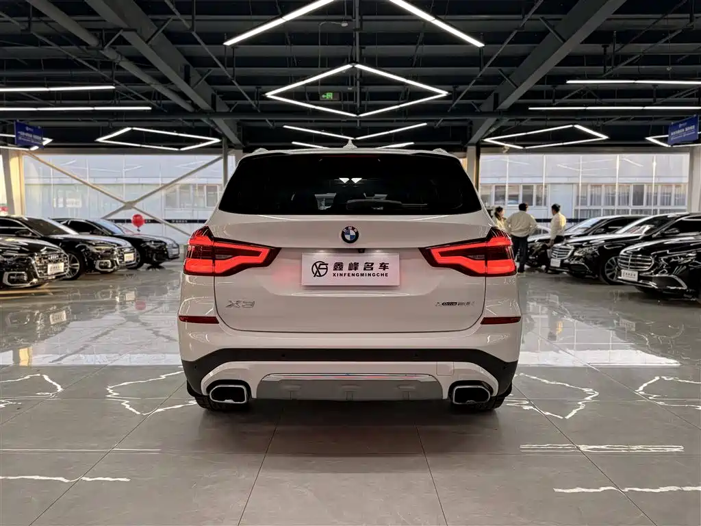 BMW X3 2019 xDrive28i Luxury Package фото 24