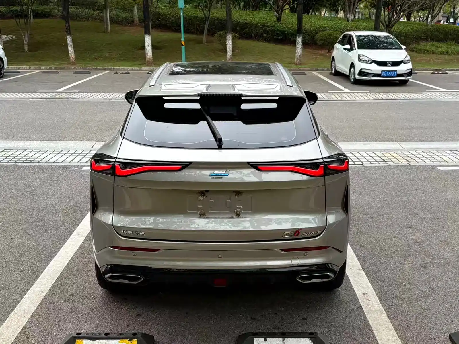 صورة 12 - Changan Oshan Z6