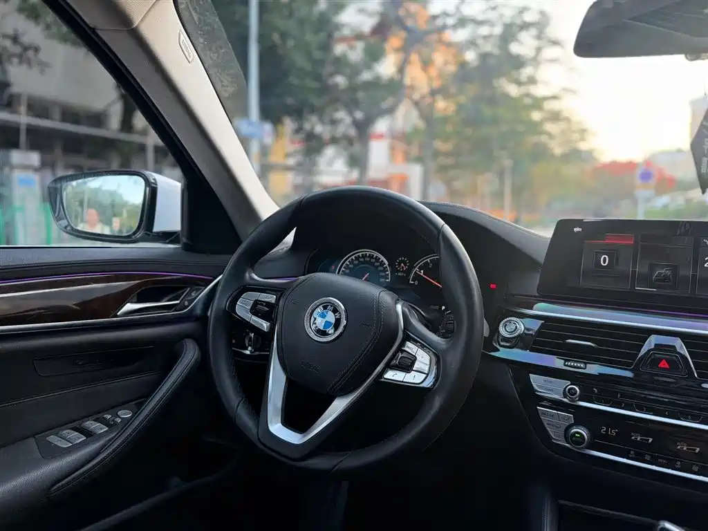 BMW 5 Series 2019 525Li M Sport Package фото 7