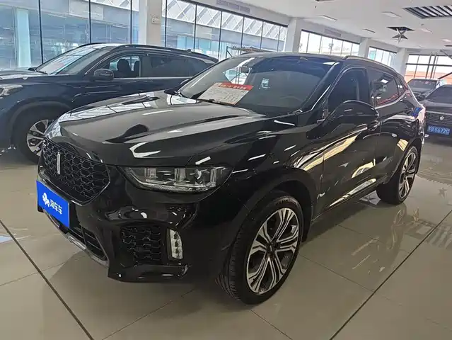 WEI PAI WEI BRAND VV5