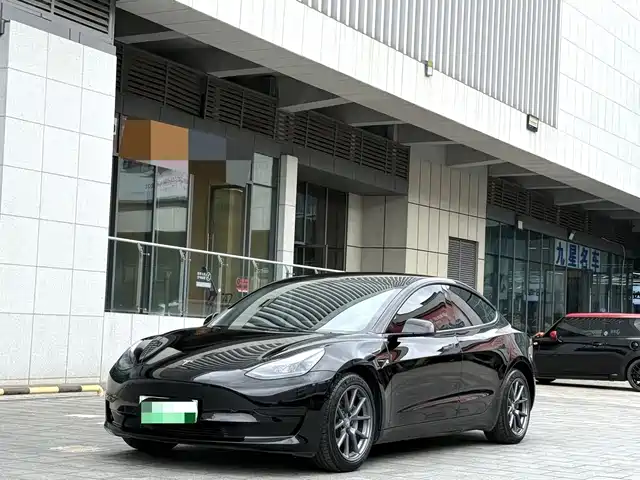 Tesla Model 3 Стандартный запас хода, задний привод, улучшенная