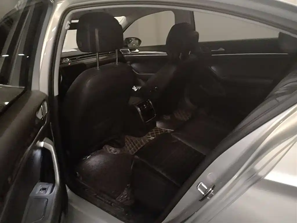 Volkswagen Magotan 2019 330TSI DSG Luxury Class China VI фото 24