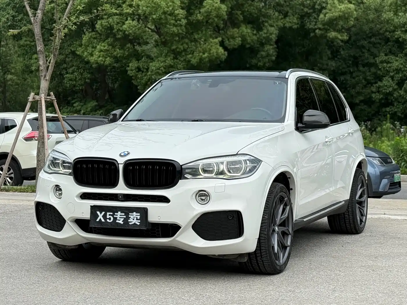 BMW X5 (Import) 2014 xDrive35i Leading