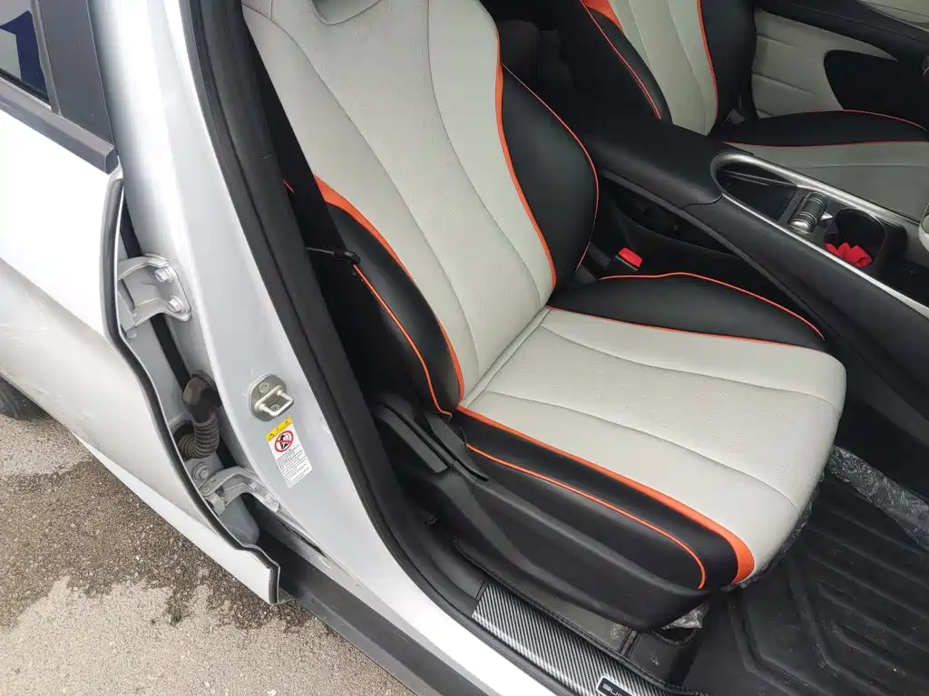BYD Dolphin 2021 2021 Model 405km Fashion Edition