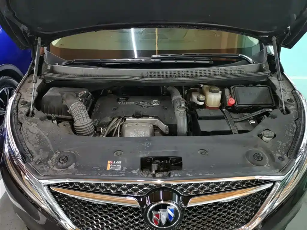 Buick GL8 2017 28T Avenir China V фото 20