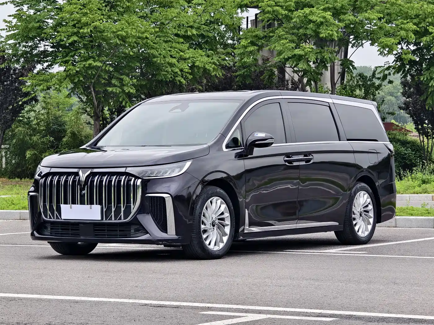 Voyah Auto Voyah Dreamer 2024 PHEV Extended Range Premium Edition