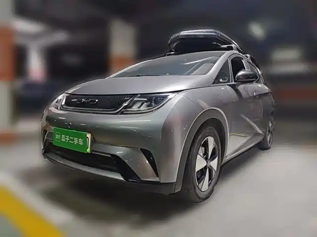 BYD Dolphin 420km, Стиль