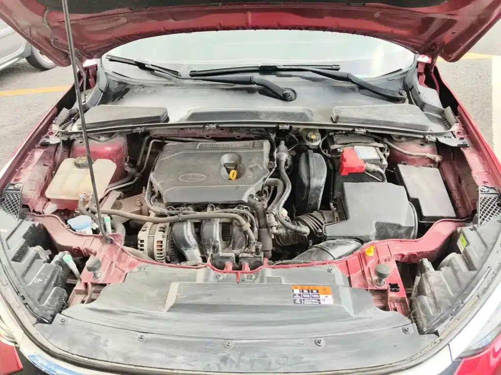 Ford Escort 2022 2021 1.5L Automatic Platinum Edition
