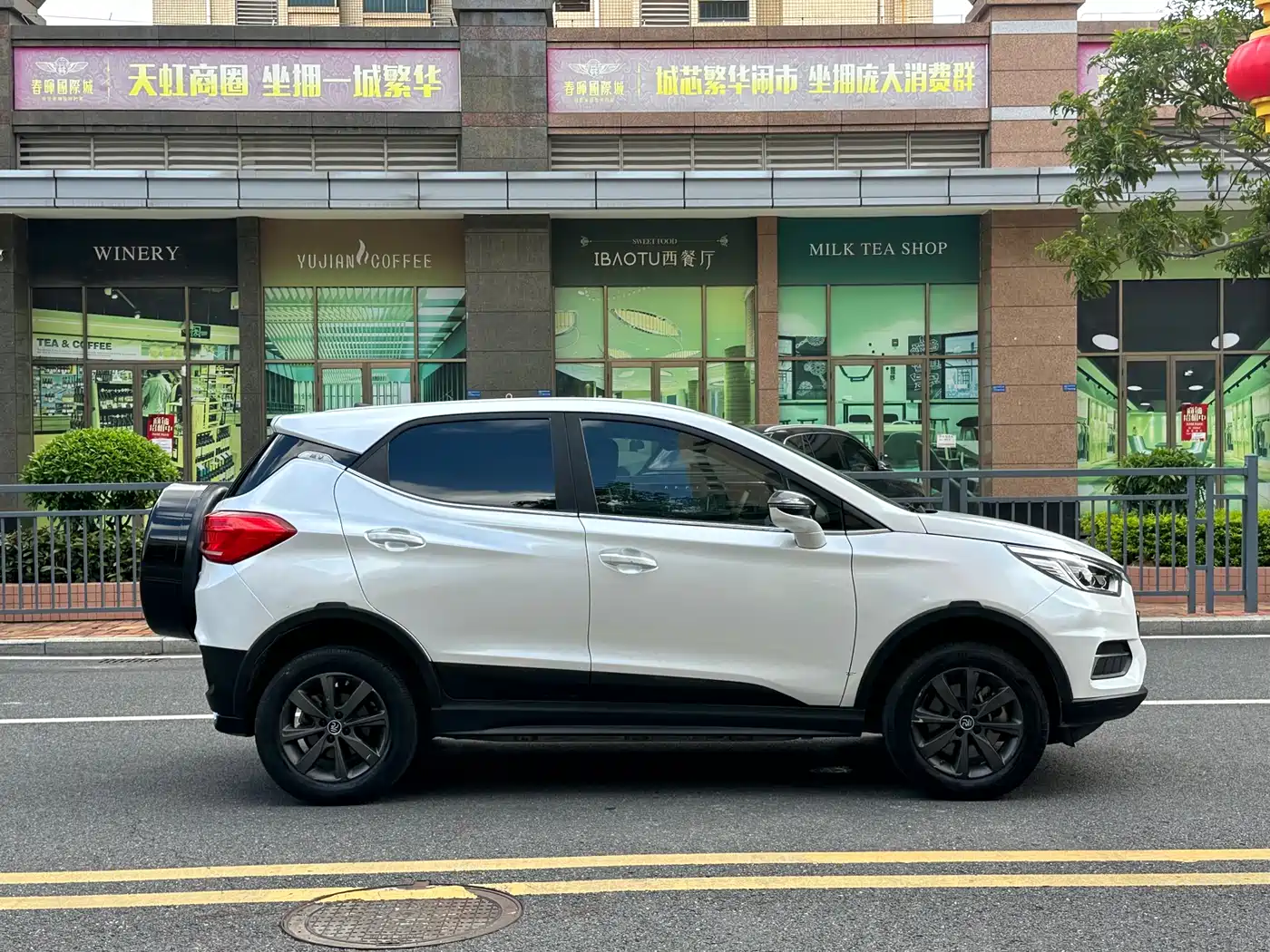 BYD Yuan New Energy 2019 EV535 Smart Connected Trend Leader Type фото 4
