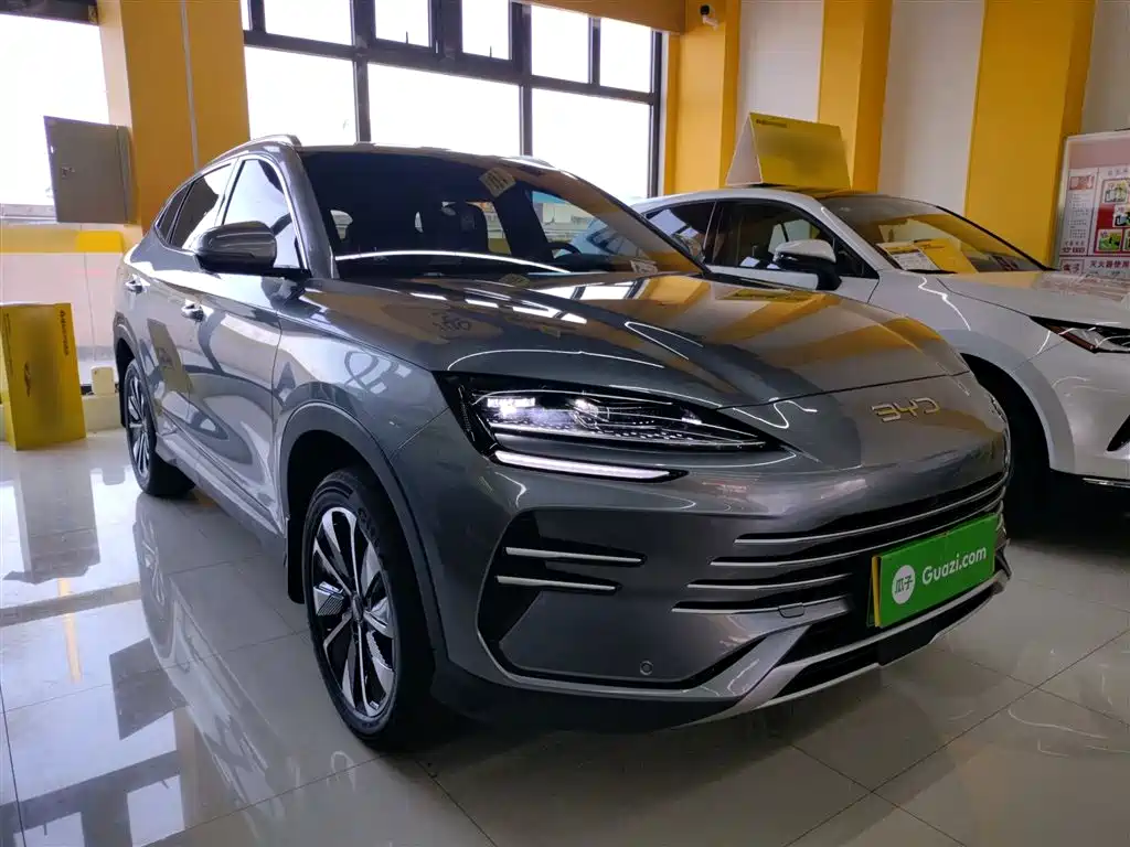 BYD Song PLUS PHEV 2025 DM-i 112KM Premium фото 22