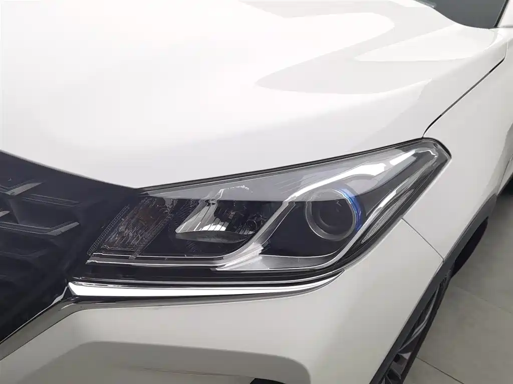 DONGFENG SCENERY 500