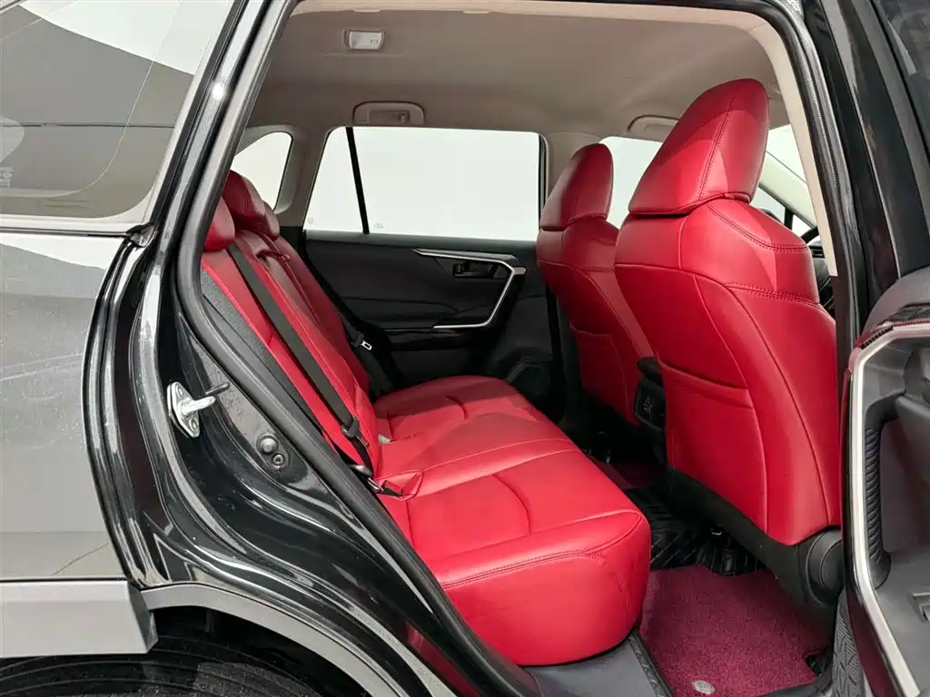 Toyota RAV4 Rongfang 2023 2.0L CVT 2WD Urban Edition фото 20