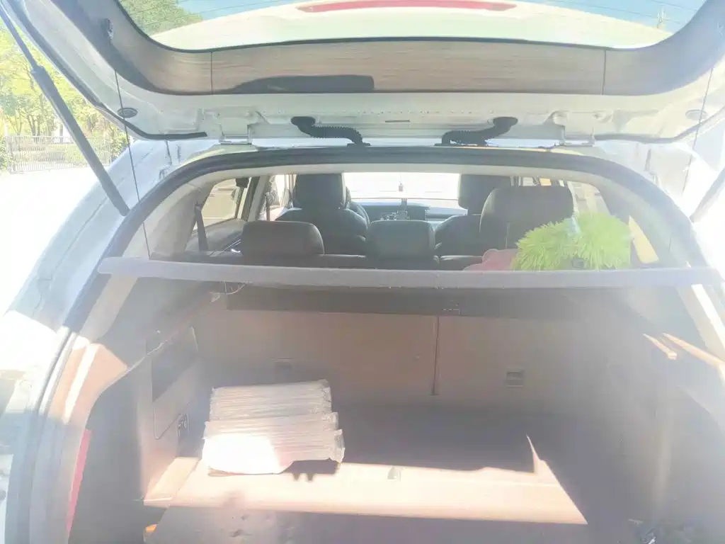 Leopaard Mattu 2019 2018 1.6T GDI DCT Elite