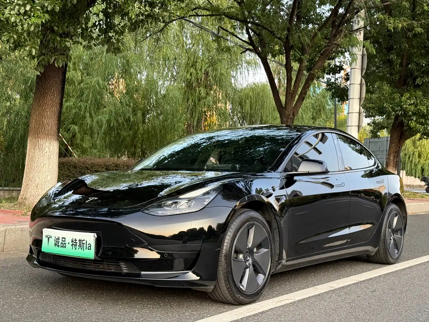 Фото 1 - Tesla Model 3