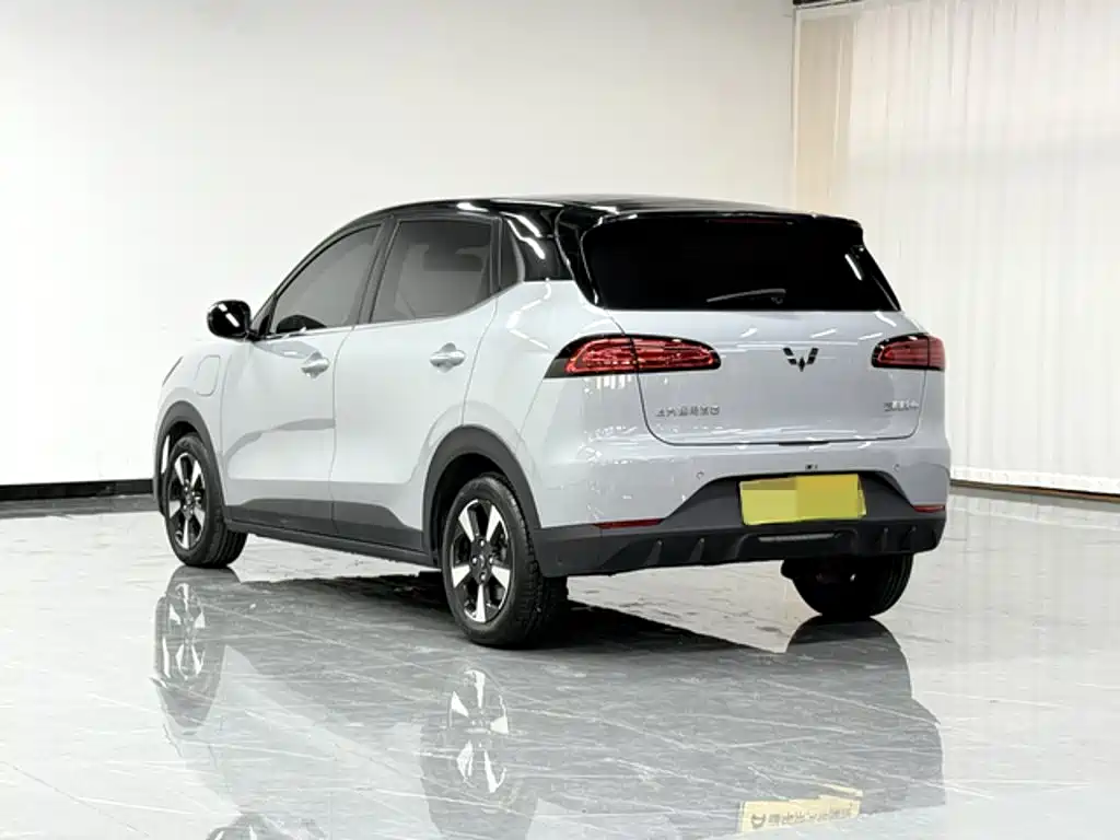 Wuling Motors Wuling Binguo PLUS 2024 2024 Model 510km Flagship Edition 4-Seater