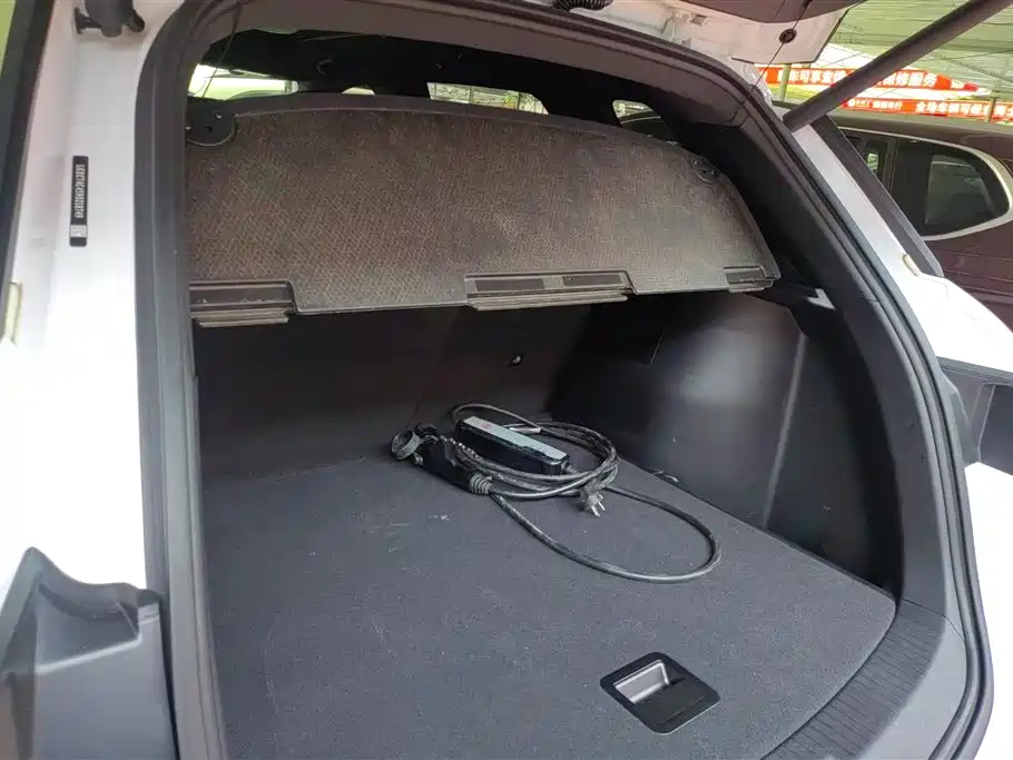 BYD Song Pro New Energy 2022 DM-i 51km Premium фото 4