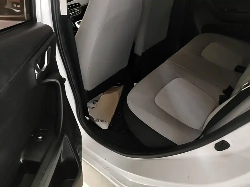 Changan Benben E-Star 2022 2020 Heartbeat Edition (NMC Battery)