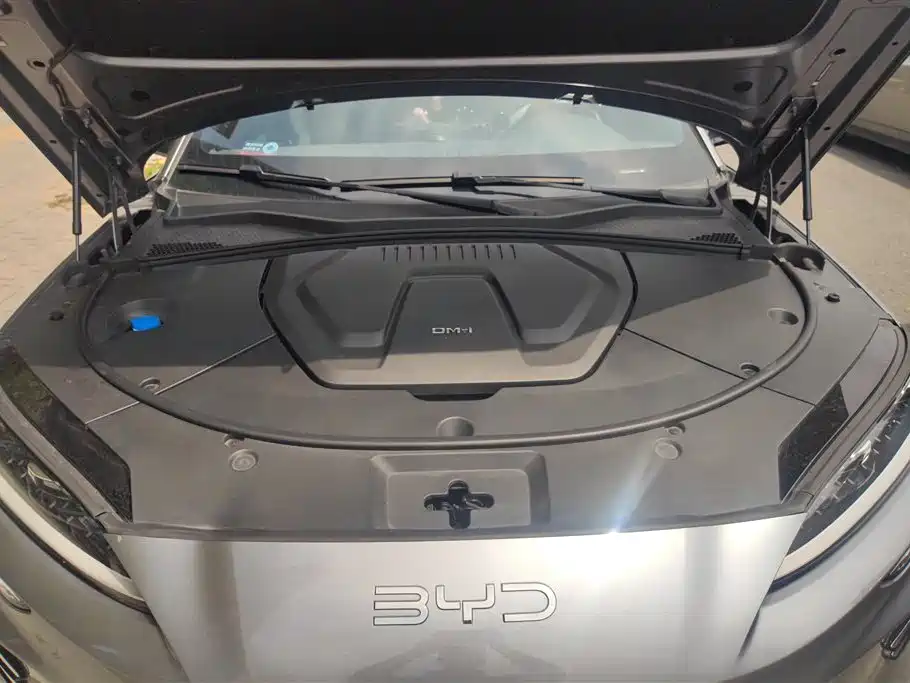 BYD SONGJIANG NEW ENERGY