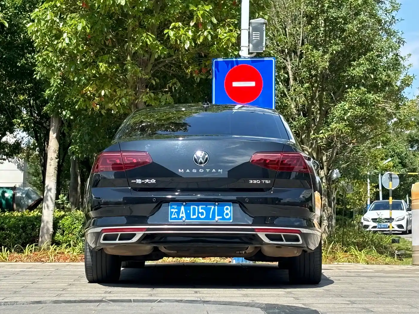 Volkswagen Magotan, миниатюра 8