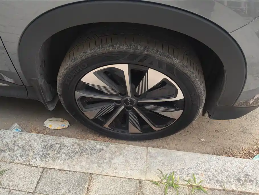 BYD SONGJIANG NEW ENERGY