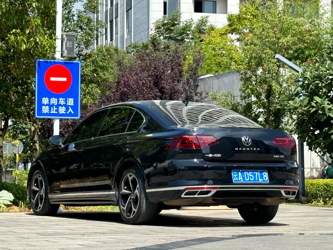Volkswagen Magotan, миниатюра 7