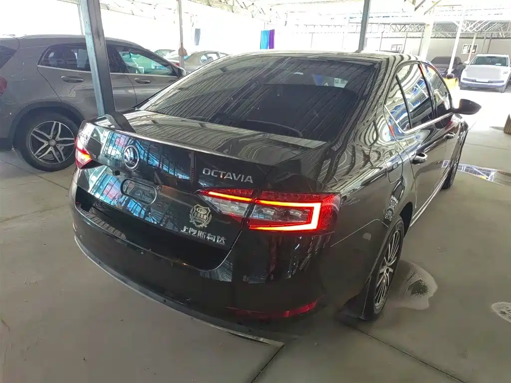 Škoda Octavia 2018 1.6L Automatic Luxury фото 5