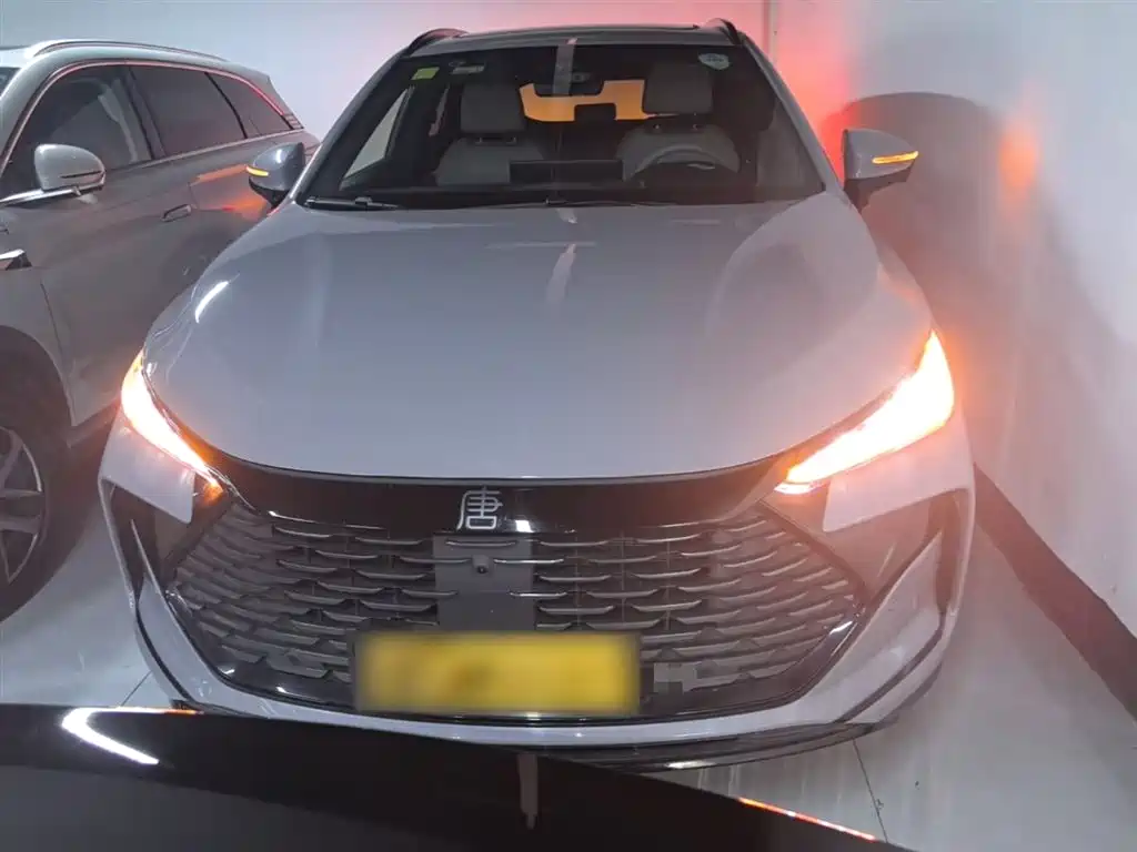BYD Tang New Energy 2025 Smart Driving Edition DM-i 115KM Flagship фото 3